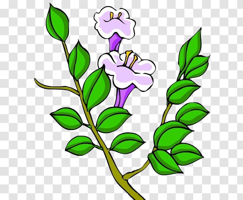 Floral Design Purple Clip Art - Cartoon - Hand Painted Trumpet Transparent PNG