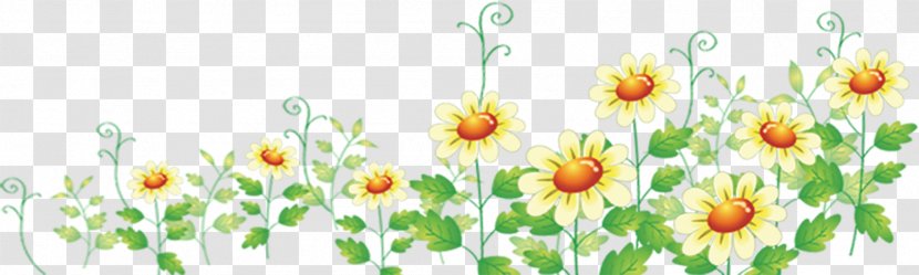 Flower Floral Design Web Clip Art - Floristry - Hand-painted Chrysanthemum Transparent PNG