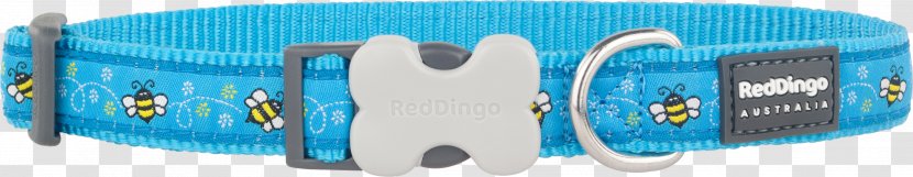 Dog Collar Dingo Puppy Cat - Electric Blue - Red Transparent PNG