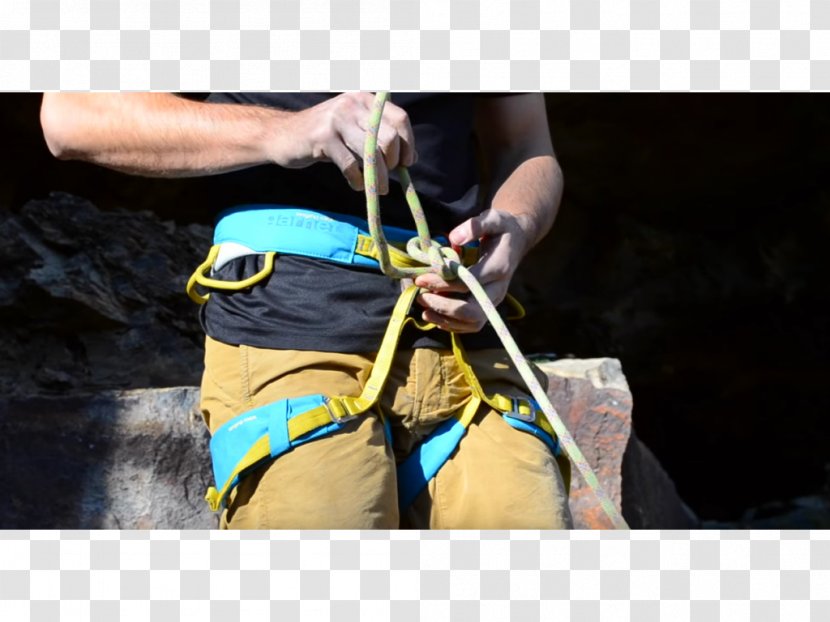 Abseiling Climbing Harnesses Belay & Rappel Devices Belaying Safety Harness - Device - Recreation Transparent PNG