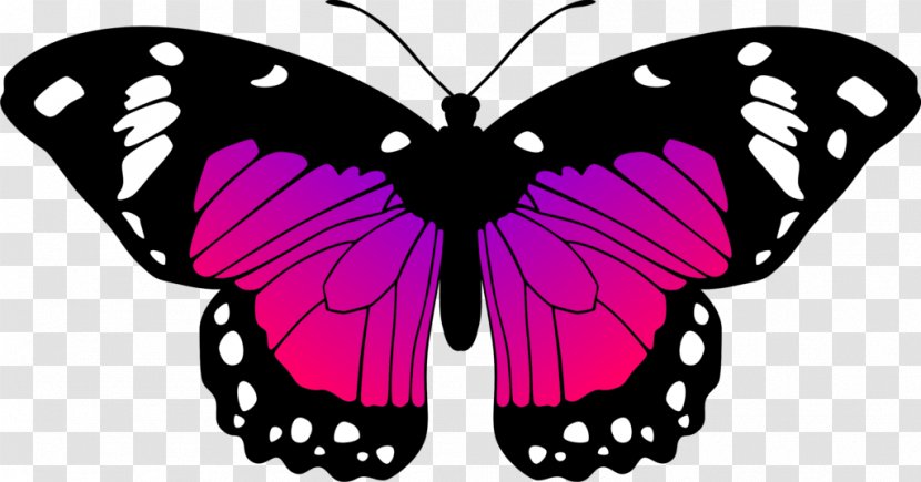 Monarch Butterfly Black And White Drawing Clip Art - Pink Transparent PNG