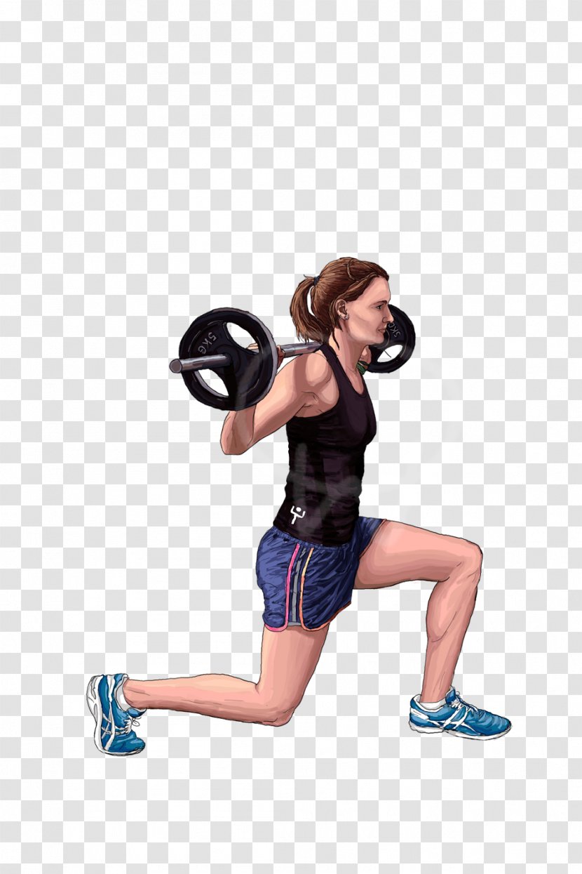 Physical Exercise Weight Training Fitness Centre - Frame - Gymnastics Transparent PNG