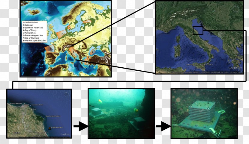 /m/02j71 Earth Ecosystem Organism Desktop Wallpaper Transparent PNG