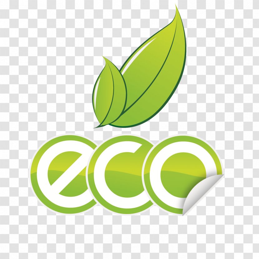 Environmentally Friendly Recycling Cleaning Business Natural Environment - Health Transparent PNG