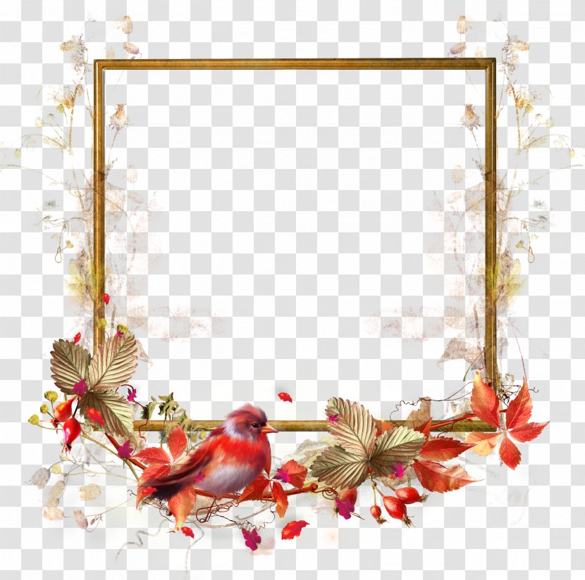 Picture Frames Flower Clip Art - Frame - Mirror Transparent PNG