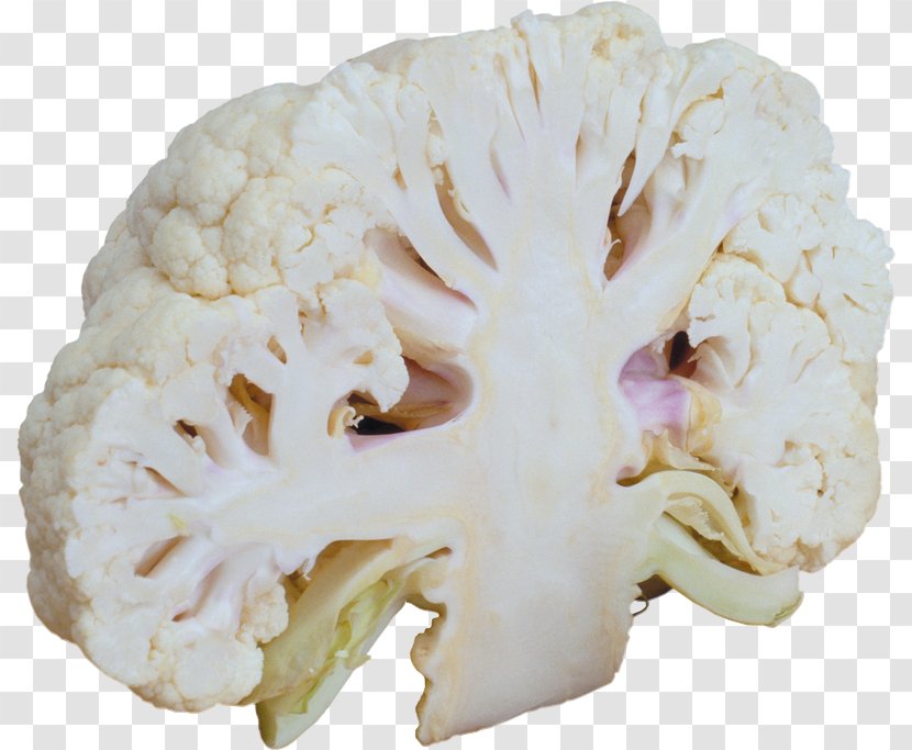 Cauliflower Broccoli Vegetarian Cuisine Vegetable Cabbage Transparent PNG