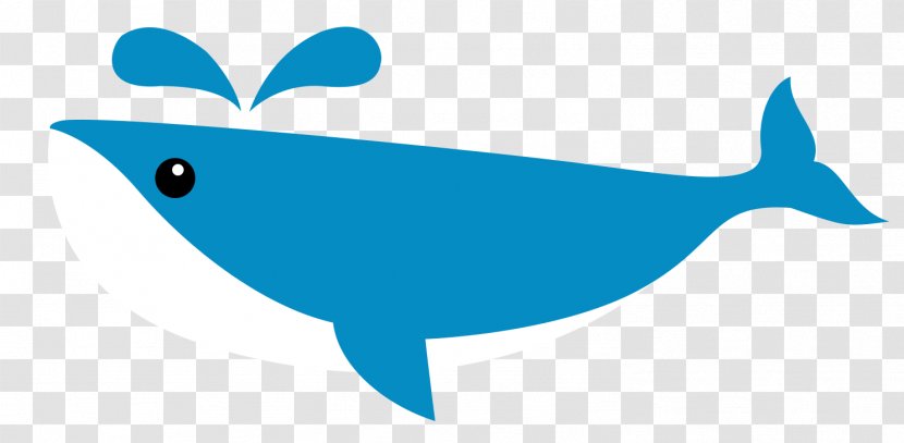Dolphin Shark Whale Clip Art Transparent PNG