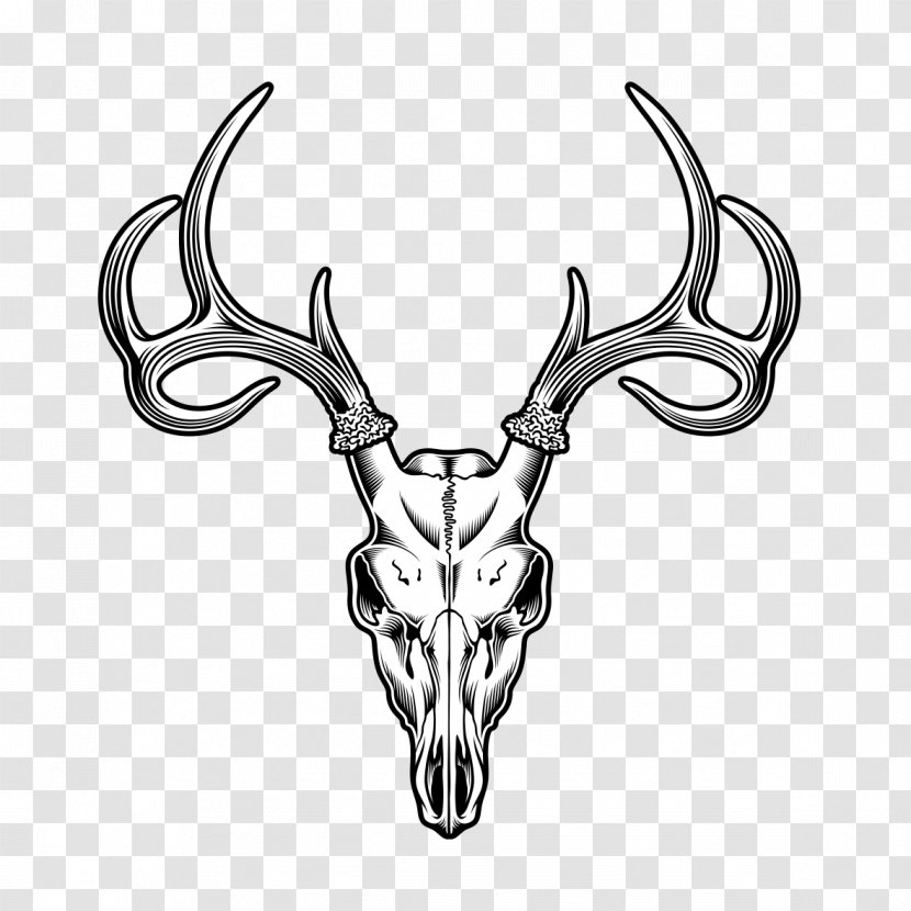 Deer Skull Drawing Illustration - Sheep Tattoo Transparent PNG