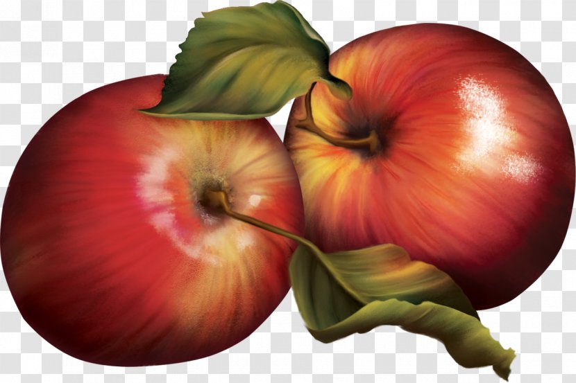 Apple Fruits Et Légumes Vegetable Food - Net Transparent PNG