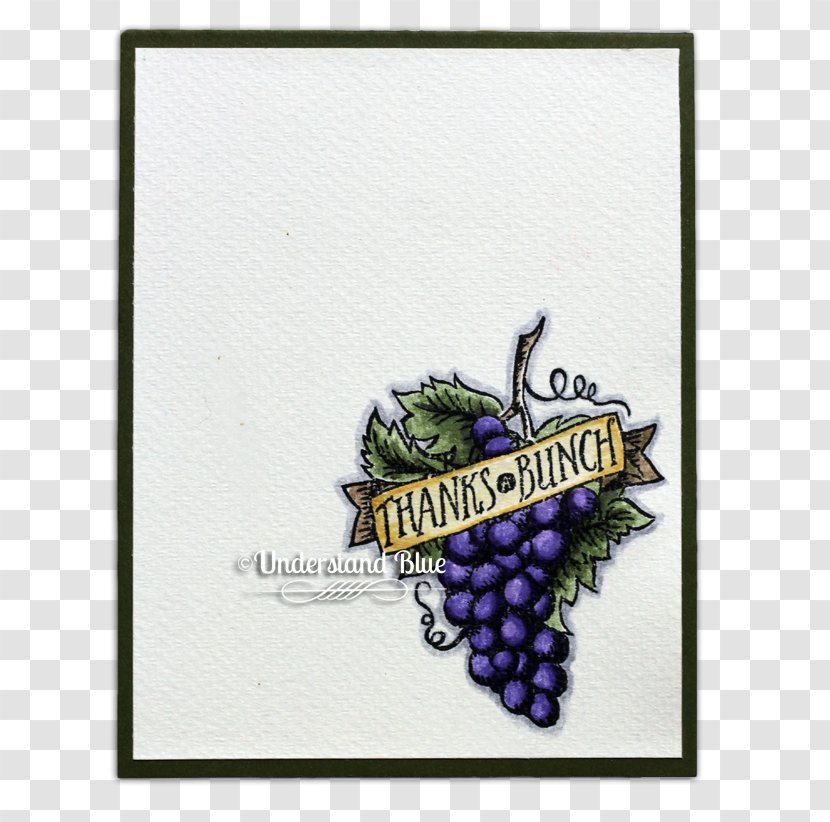 Grape The Arts Creativity Font - Flowering Plant Transparent PNG