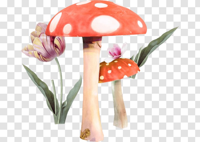 Mushroom Fungus Clip Art - Petal - Flowers Do Not Pull The Material Transparent PNG