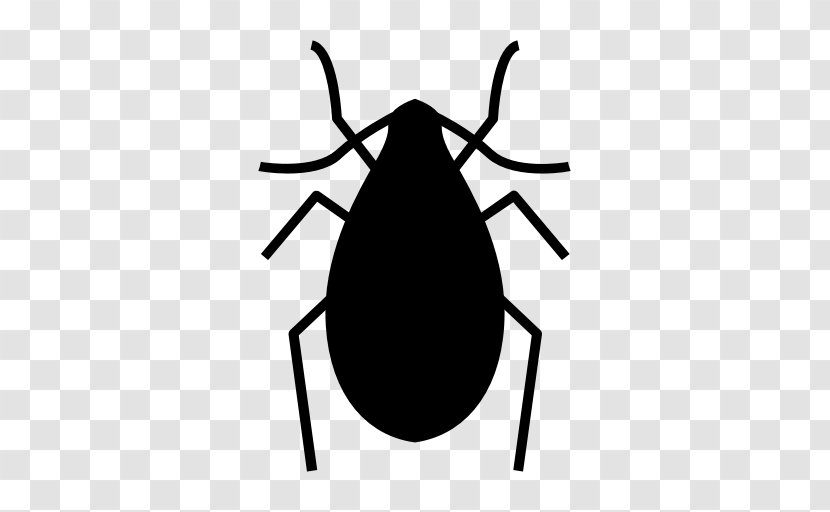 Insect True Bugs Bed Bug Pest Control Bedbug Transparent PNG