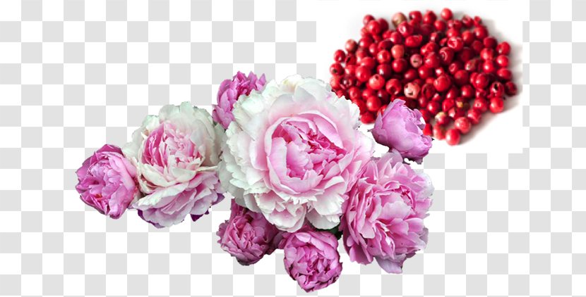 Chinese Peony Clip Art - Rosa Centifolia - Rose Transparent PNG
