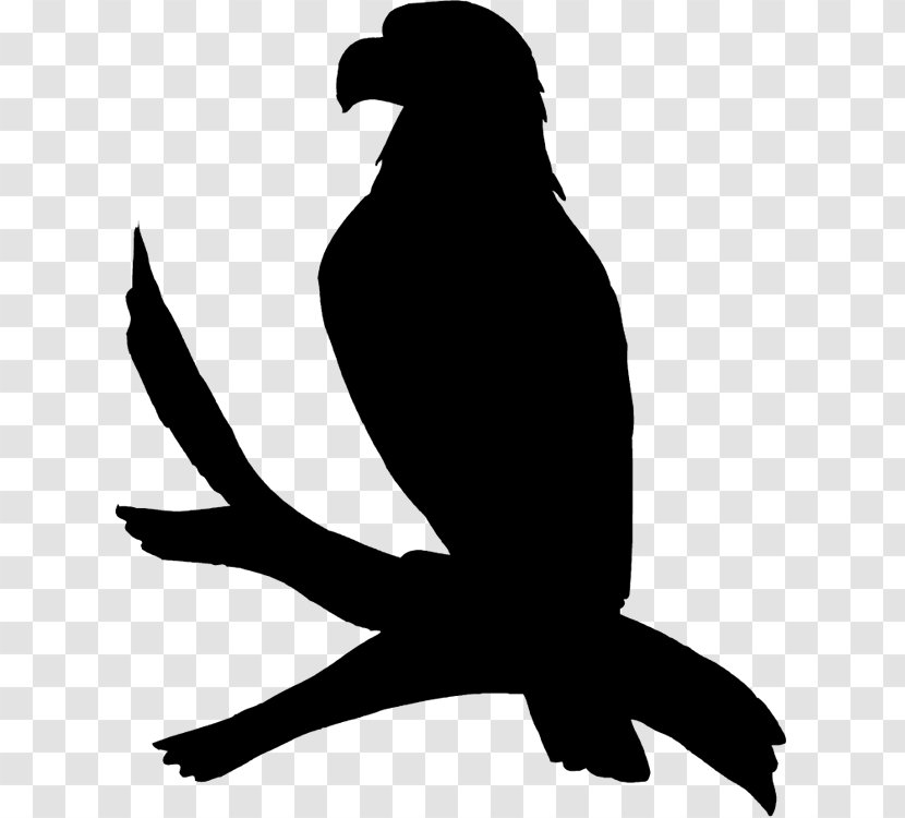 Bird Silhouette - Claw Peregrine Falcon Transparent PNG