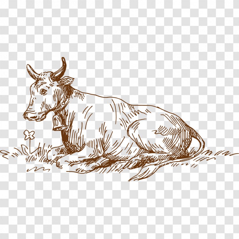 Milk Cattle Dairy Farming - Cow Goat Family - Grass Transparent PNG