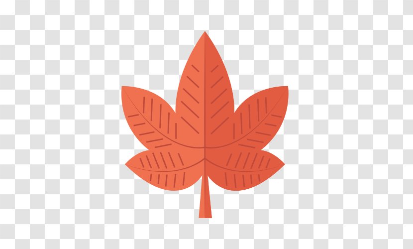 Maple Leaf Autumn - Plant - Material Transparent PNG