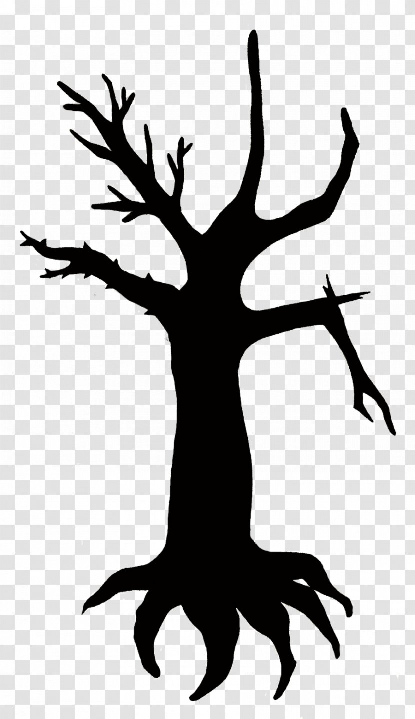 Tree Tattoo Oak Fir Clip Art - Line - Evergreen Outline Transparent PNG