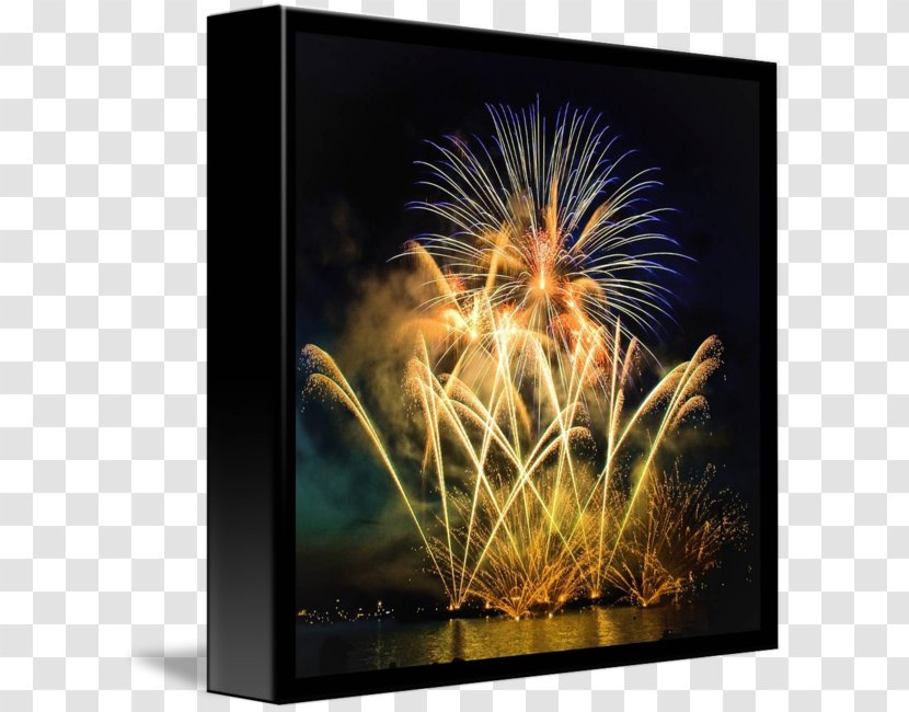 Wisgoon Night Fireworks Organism Desktop Wallpaper - Photography - Blurred Lights Transparent PNG