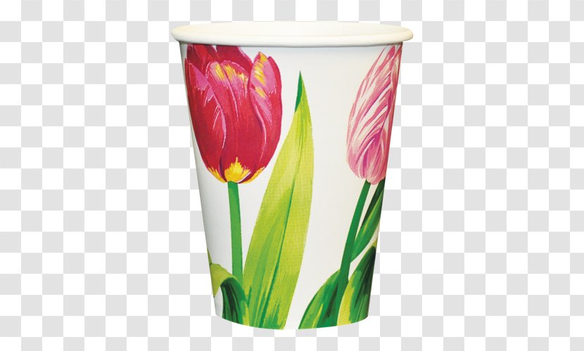 Tulip Paper Cup Cut Flowers Transparent PNG