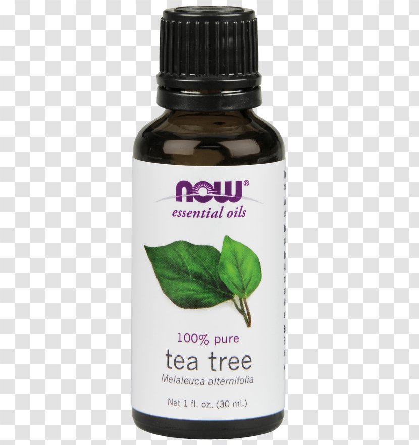 Essential Oil Tea Tree Narrow-leaved Paperbark NOW Foods - Now Transparent PNG