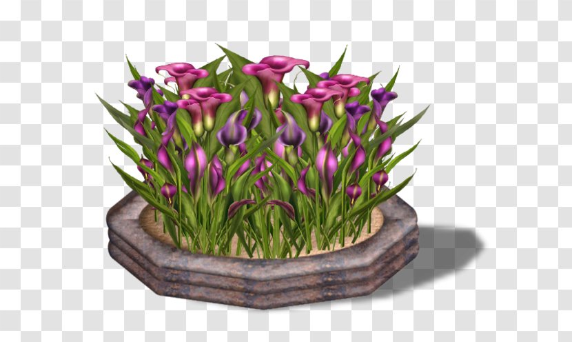 Floral Design Egyed Emmanuelle Cut Flowers Tulip - Plant - Abonne Toi Transparent PNG