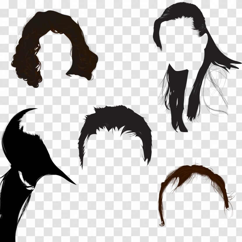 Hairstyle - Artificial Hair Integrations Transparent PNG