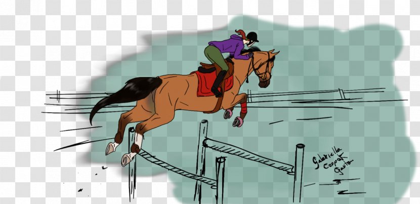 Pony English Riding Rein Mustang Stallion - Mane Transparent PNG