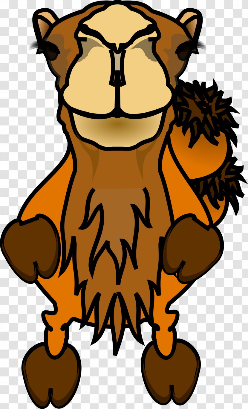 Bactrian Camel Dromedary Comics Clip Art - Snout Transparent PNG