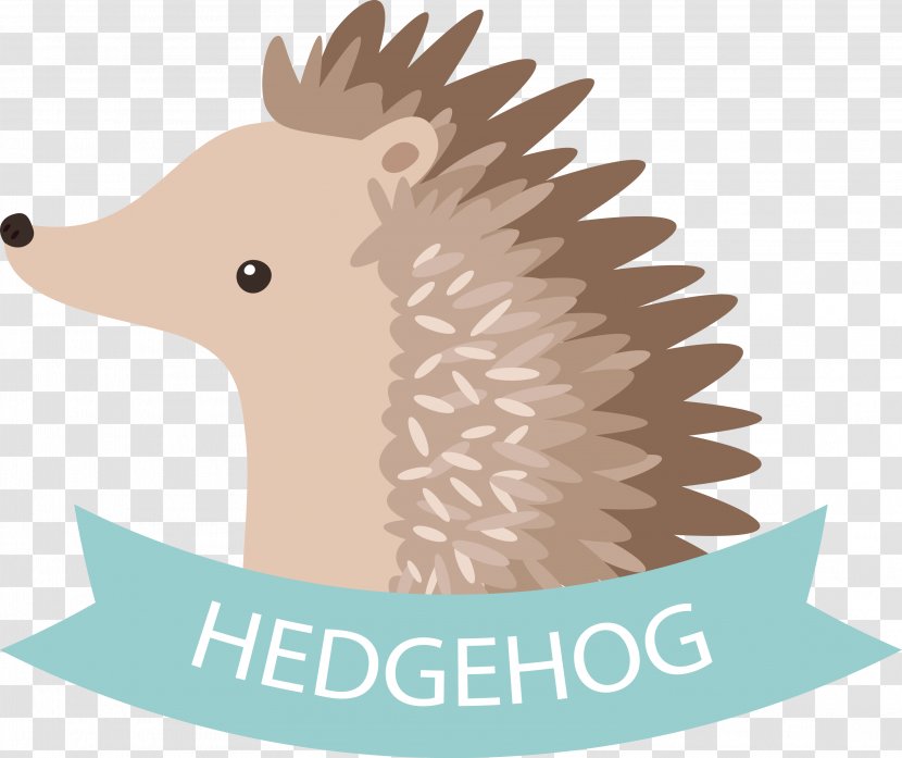 Euclidean Vector Drawing - Fauna - Cartoon Hedgehog Transparent PNG