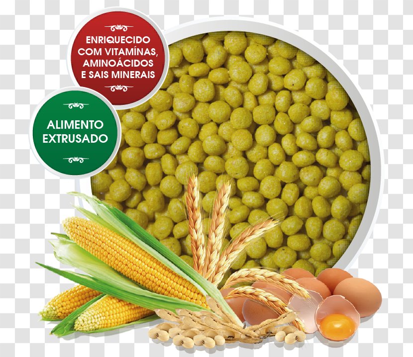 Soybean Meal Maize Seed Oil - Sodium Chloride - Arara Transparent PNG
