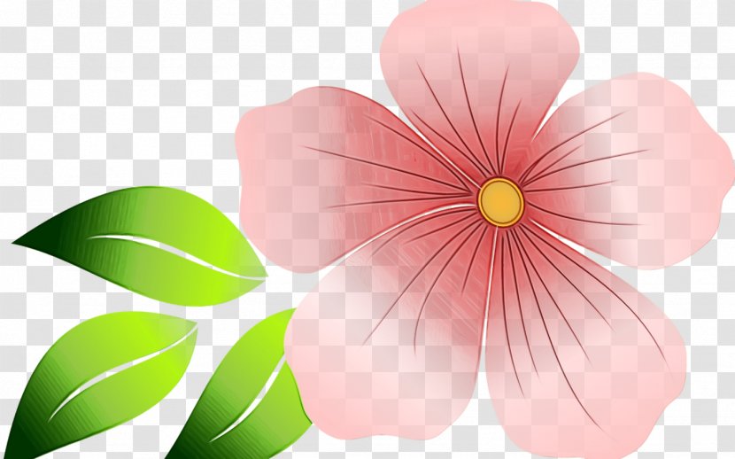 Pink Flower Cartoon - Impatiens - Wildflower Transparent PNG