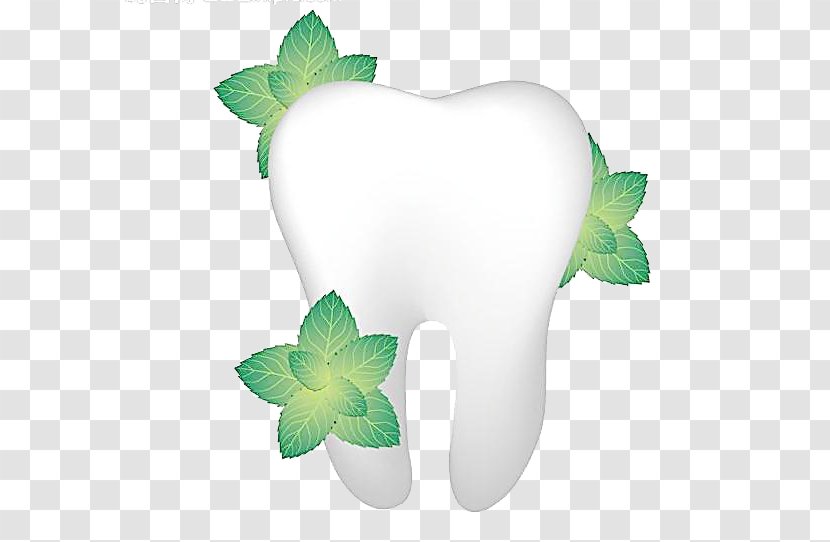 Tooth Pathology Gums Dentistry - Fresh Green Leaves And Teeth Transparent PNG
