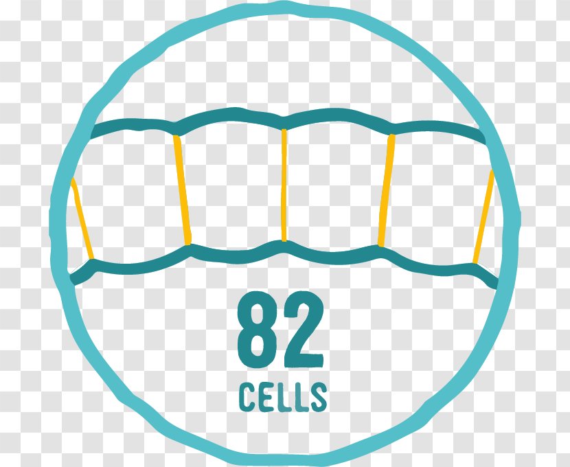 Cell Counting Number Ratio - Jaw - Coming Soon Flat Design Transparent PNG