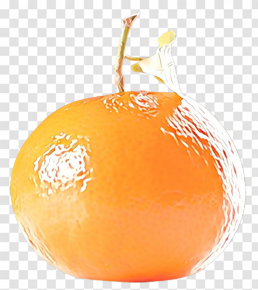 Fruit Cartoon - Orange - Tangerine Valencia Transparent PNG