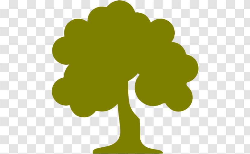 Tree Icon Design - Arborist Transparent PNG