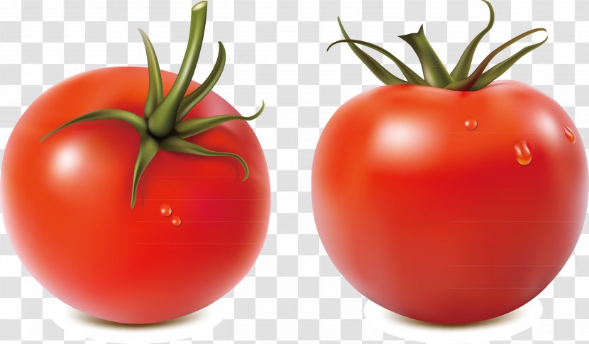 Salsa Tomato Royalty-free Illustration - Royaltyfree - Seasonal Vegetable Decoration Vector Transparent PNG