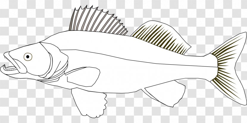 Coloring Book Northern Pike Walleye Fishing - Perch Transparent PNG