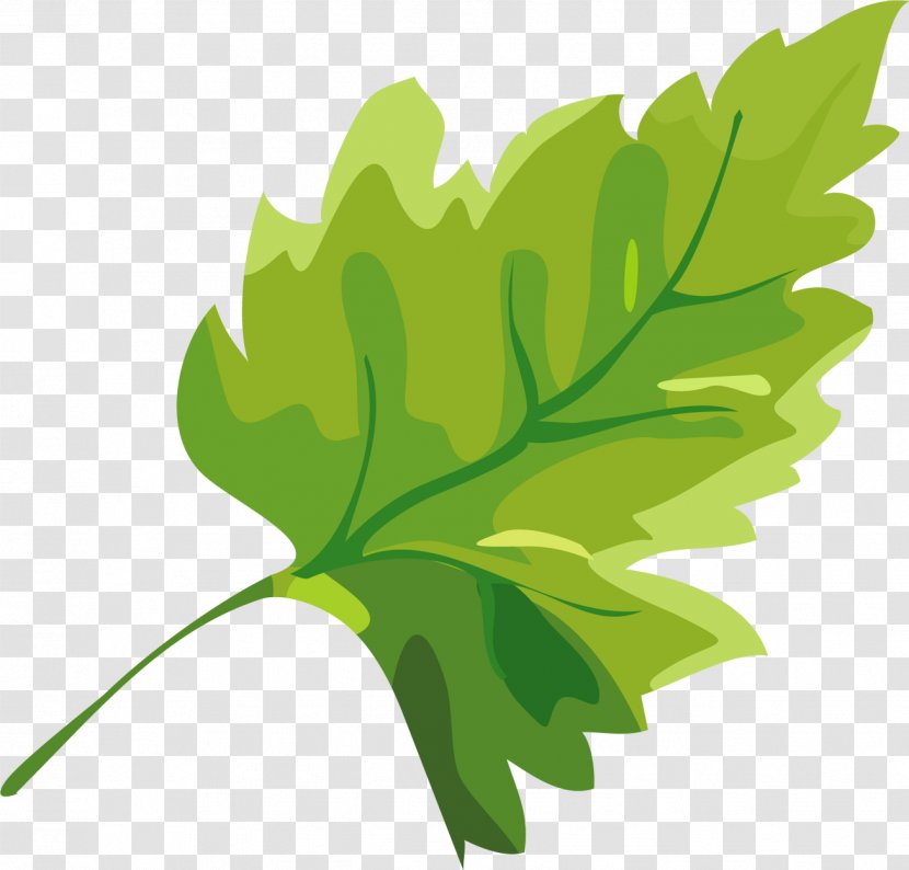 Clip Art Design Image Adobe Photoshop - Mint - Leaves Transparent PNG