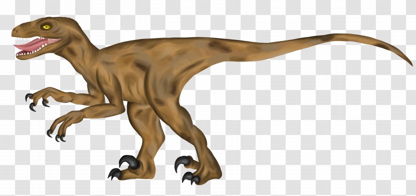Velociraptor Tyrannosaurus Terrestrial Animal - Figure Transparent PNG