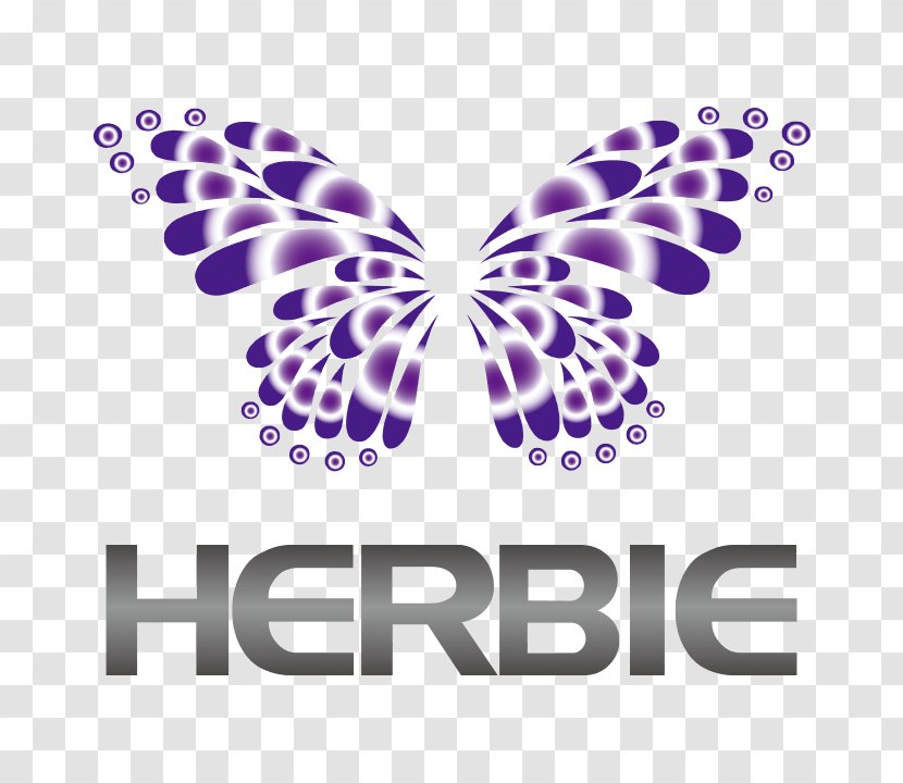 Herbie 広島 Nightclub Club G Hiroshima Moths And Butterflies About Us Disc Jockeyherbie Transparent Png