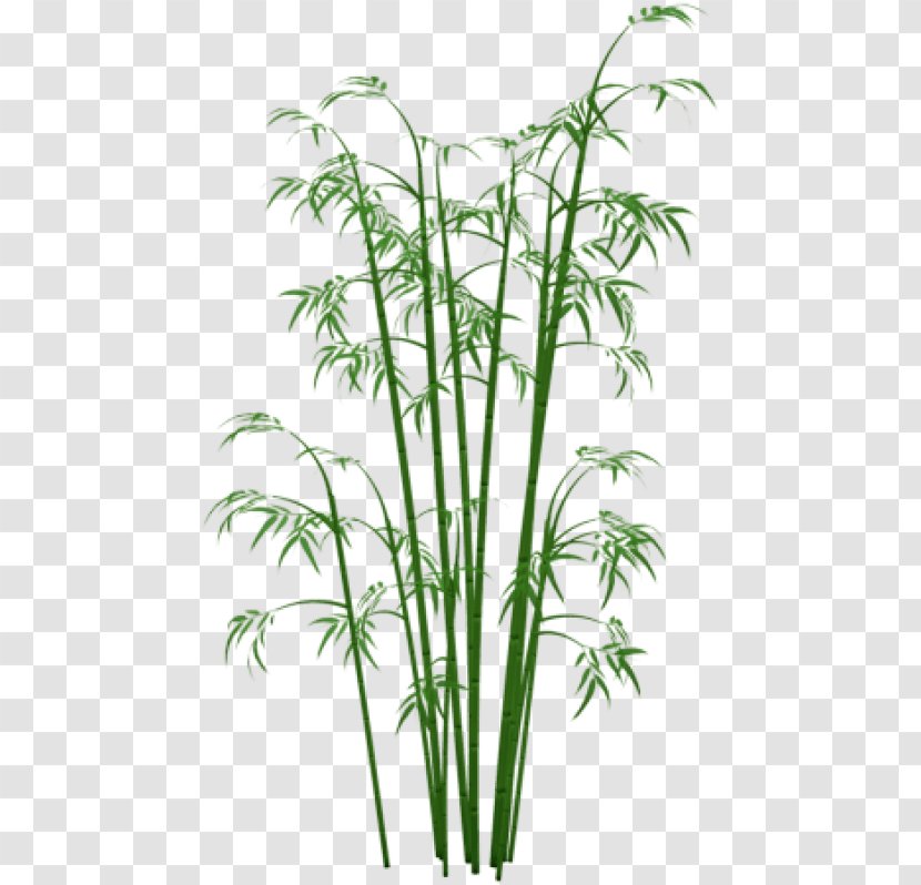 Clip Art Bamboo Transparency - Plant Transparent PNG