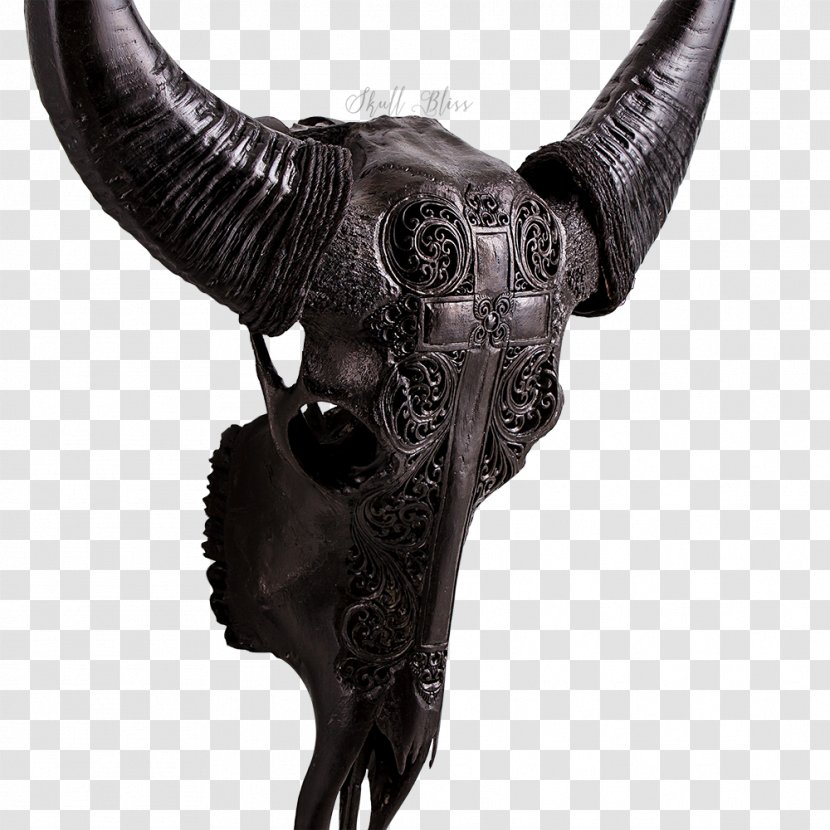 Cattle Horn Animal Skulls Ox Water Buffalo - Goat - Skull Transparent PNG