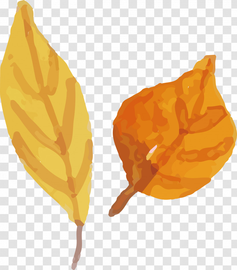 Fruit Transparent PNG