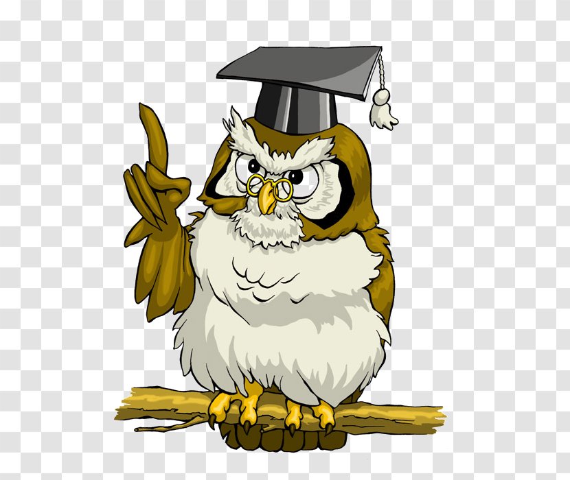 La Verne San Dimas Owl I Love Teriyaki Information Transparent PNG