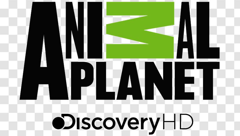 Animal Planet Cat Television Channel Discovery, Inc. - Streaming Media Transparent PNG