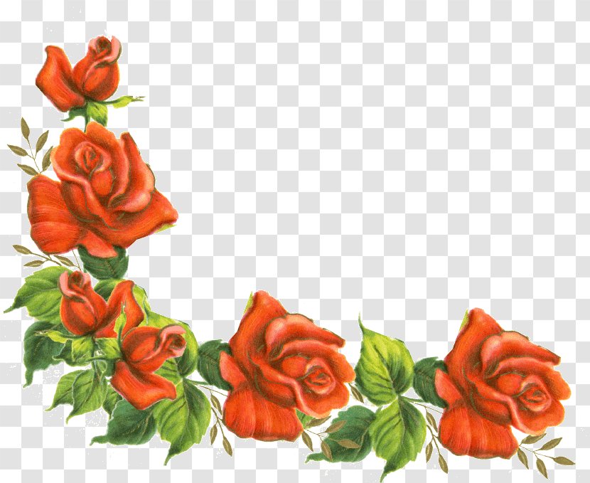 Borders And Frames Rose Flower Clip Art - Family - Corner Cliparts Transparent  PNG