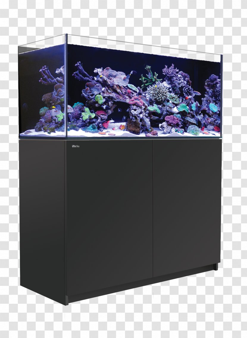 Red Sea Reefer 350 Aquariums Coral Reef Seawater Aquarium - 250 - 170 Transparent PNG