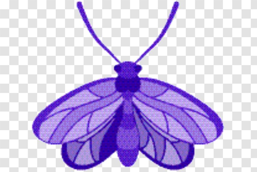 Butterfly - Pollinator - Pest Symmetry Transparent PNG