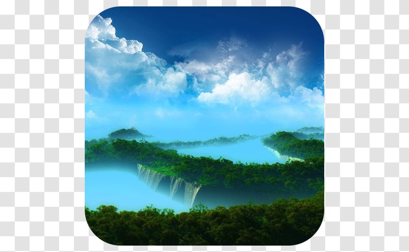 Desktop Wallpaper Tree Forest Display Resolution - Space - Amazon Transparent PNG