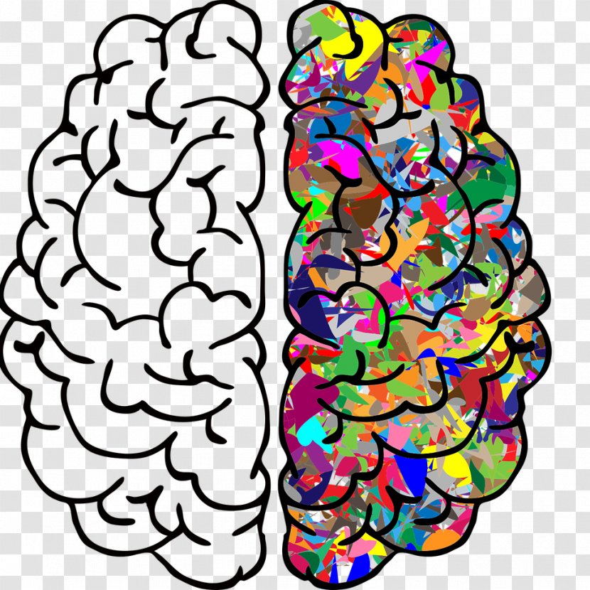 Human Brain Clip Art Image - Neuroscience Transparent PNG